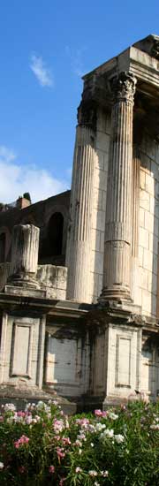 Bel Mooney Domesticity