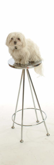 Bel Moony childrens Books